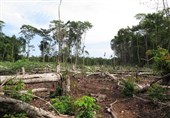 New Report Reveals Staggering Extent of Human Impact on Planet
