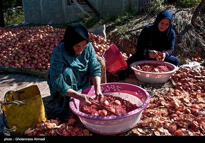محصول رب انار در سه مزه ی ترش،شیرین و ملس پخت می شود که زحمت اصلی فراوری آن برعهده ی زنان است،کاری طاقت فرسا و زمانبر.