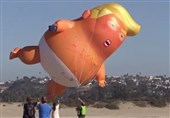 Trump’s Baby Balloon Flown over San Diego to Mock US President (+Video)