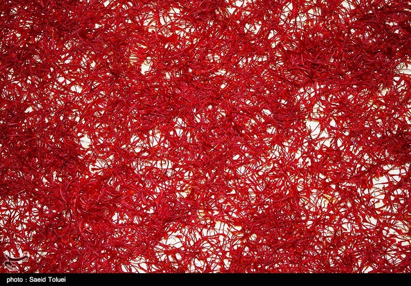 قیمت یک کیلو زعفران ‌به 10.5 میلیون تومان کاهش یافت / ارز صادرات زعفران برگشتی به ایران ندارد