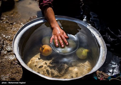 روستای درچین سفلی- بخش لقی غربی -شهرستان الیگودرز-استان لرستان-مهدی عین الهی 6 ساله کلاس اولی او پس از کندن و جمع آوری انار آنها را در آب جاری جلو خانه میشوید.