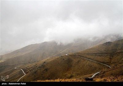 بارش برف و مه شدید در ارتفاعات همدان