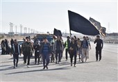 پیاده روی زائران رضوی| 574 کاروان زائر پیاده وارد مشهدالرضا(ع) شدند
