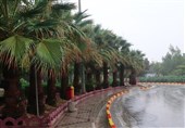 145.7 میلی‌متر بارش باران در استان بوشهر ثبت شد