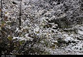 بارش برف و باران تا یکشنبه در آذربایجان شرقی ادامه دارد