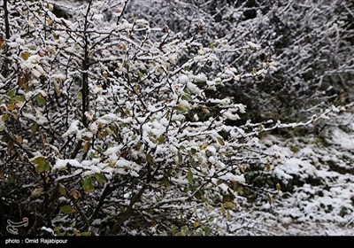 بارش برف در ییلاقات رحیم آباد گیلان