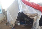 حکایت پیرزنی یاسوجی که در سرمای سوزان در چادر زندگی میکند