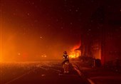 تلفات مرگبارترین آتش سوزی کالیفرنیا به 42 نفر رسید