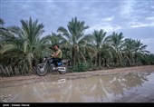 هواشناسی امروز 97/08/20|رگبار، رعدوبرق و آبگرفتگی معابر عمومی 6 استان را فرا میگیرد