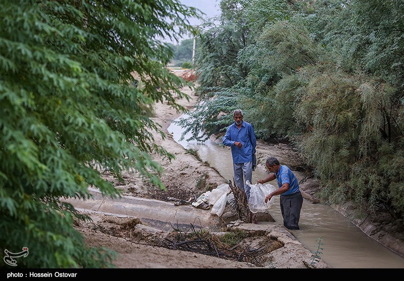 پس از باران در روستای نظر آقا - بوشهر