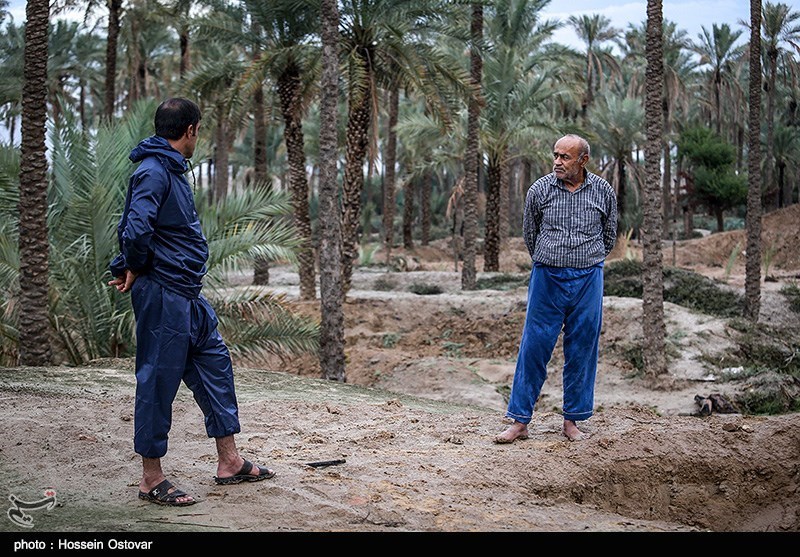 پس از باران در روستای نظر آقا - بوشهر