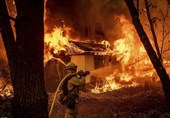 Trump: Mismanagement of Forests to Blame for California Fires