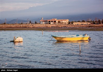 مرگ خلیج گرگان