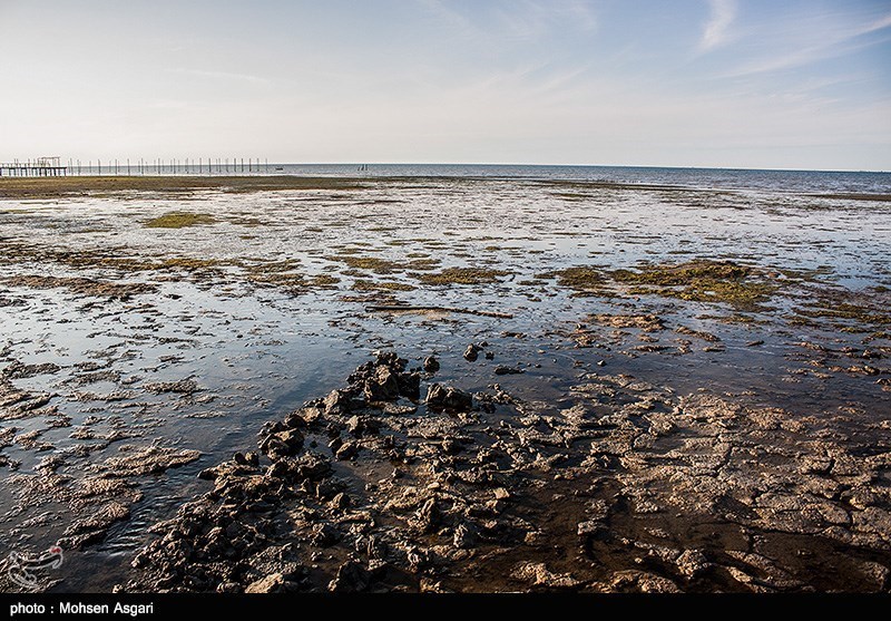 حدود 43 میلیارد تومان برای نجات خلیج گرگان نیاز است