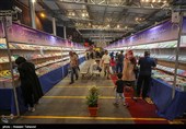 نمایشگاه بزرگ کتاب استان کرمانشاه افتتاح شد