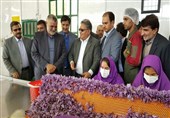 خراسان جنوبی | زعفران قاینات به 35 کشور جهان صادر می شود