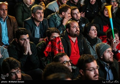 تماشای بازی فینال جام ملت های آسیا در پارک لاله تهران