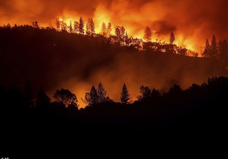 31 نفر در آتش‌سوزی بی‌سابقه جنگل‌های کالیفرنیا سوختند+تصاویر