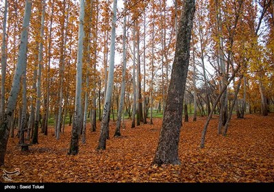 طبیعت پاییزی - خراسان شمالی