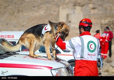 مانور مشترک سگ‌های آنست ایران و صلیب سرخ آلمان
