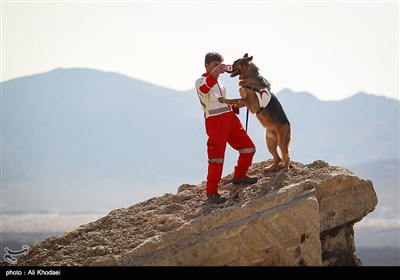مانور مشترک سگ‌های آنست ایران و صلیب سرخ آلمان