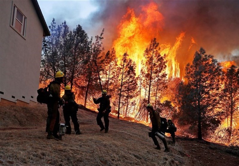 Firefighters Battle Blazes on Two Fronts in California, 50 Dead