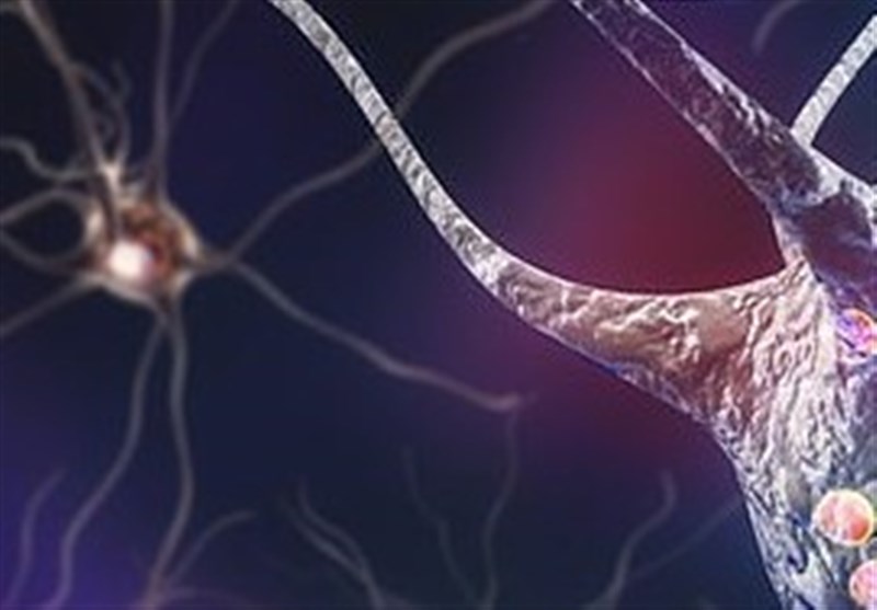 Scientists’ New Discovery Bring Hope for Parkinson&apos;s Patients