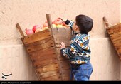 افتتاحیه جشنواره انار تفت به روایت تصویر