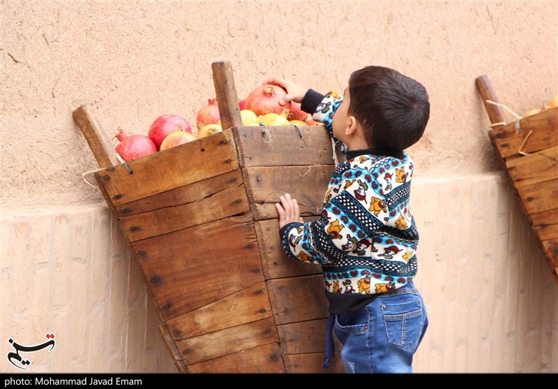 ‌افتتاحیه جشنواره انار تفت به روایت تصویر