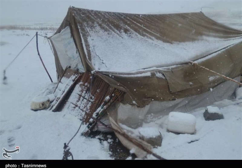 لرستان| 36 خانوار عشایری گرفتار در برف نجات یافتند