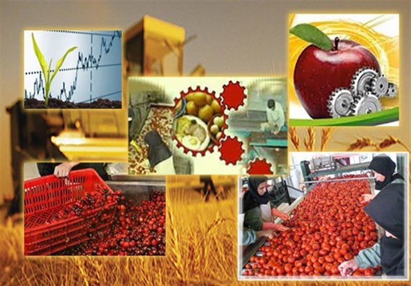 قاچاق؛ رمق تولید بخش کشاورزی در استان کهگیلویه و بویراحمد را گرفته