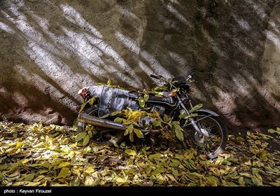 Iran's Beauties in Photos: Autumn in Kurdistan Province