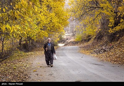 طبیعت پاییزی - کردستان