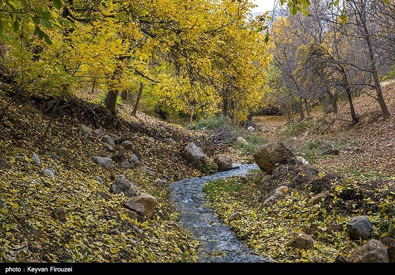 Iran's Beauties in Photos: Autumn in Kurdistan Province