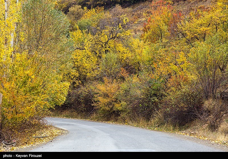 Iran's Beauties in Photos: Autumn in Kurdistan Province