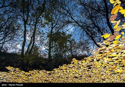 Iran's Beauties in Photos: Autumn in Kurdistan Province