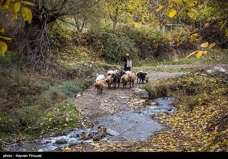 Iran's Beauties in Photos: Autumn in Kurdistan Province