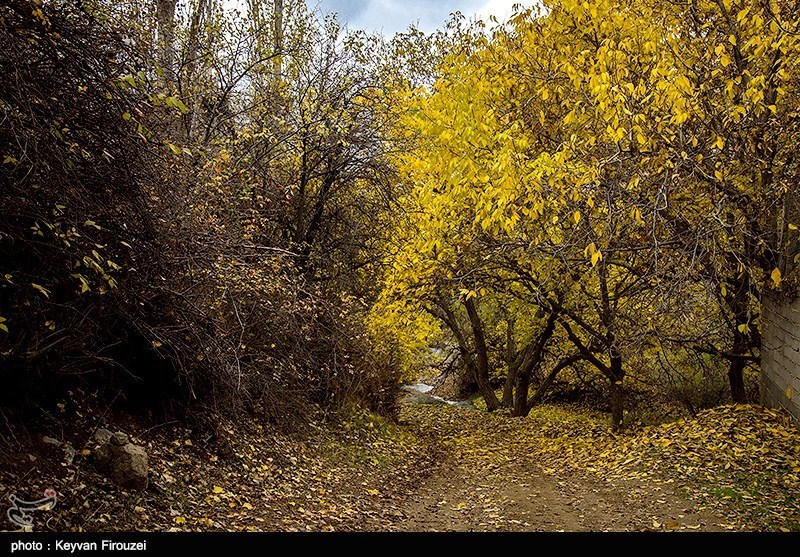 Iran's Beauties in Photos: Autumn in Kurdistan Province