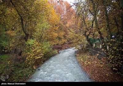 طبیعت پاییزی روستای کردان