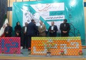 نشر کتاب در خراسان جنوبی 3 برابر شده است