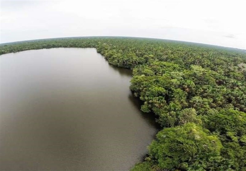 Climate Change May Soon Force Amazonian Major Carbon Sink to Become Carbon Source