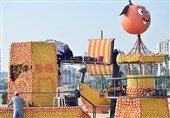 جشنواره برداشت مرکبات در مرسین ترکیه + عکس