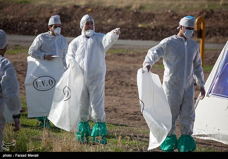 ایران از بیماری آنفلوآنزای پرندگان پاک اعلام شد