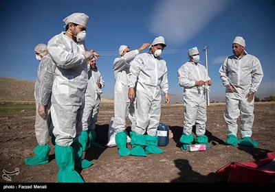 مانور مقابله با آنفلوآنزای فوق حاد پرندگان -کرمانشاه 