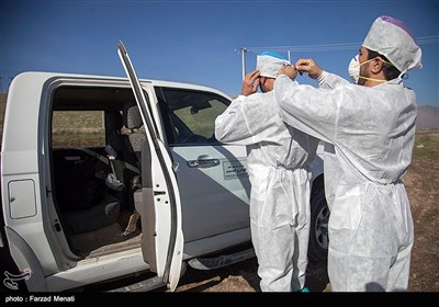 مانور مقابله با آنفلوآنزای فوق حاد پرندگان -کرمانشاه 