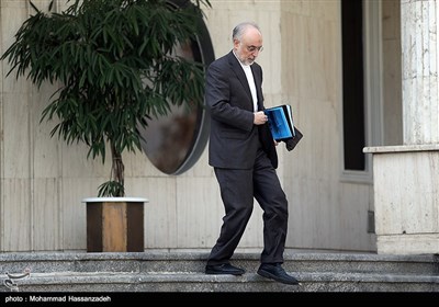 علی‌اکبر صالحی رئیس سازمان انرژی اتمی در حاشیه جلسه هیئت دولت