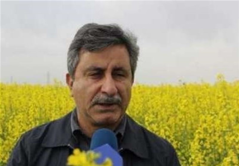 معاون وزیر جهاد کشاورزی: فروش کود در بورس کالا منتفی شد