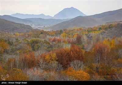 زاینده رود میں موسم خزاں کی تصویری جھلکیاں