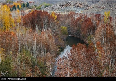 زاینده رود میں موسم خزاں کی تصویری جھلکیاں