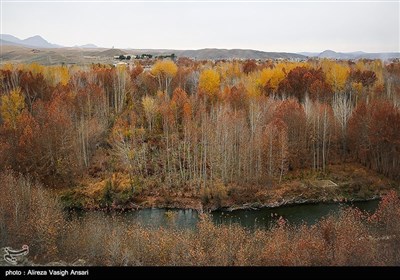 زاینده رود میں موسم خزاں کی تصویری جھلکیاں